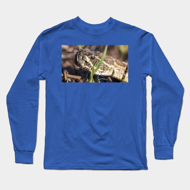Rattlesnake Long Sleeve T-Shirt by gdb2